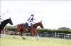 UKPA NC SAT_2560
